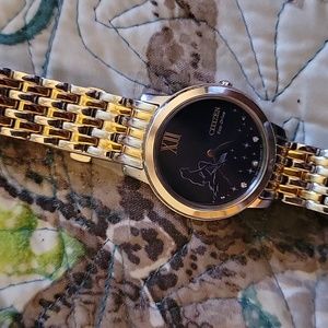 Citizen eco-drive ariel watch